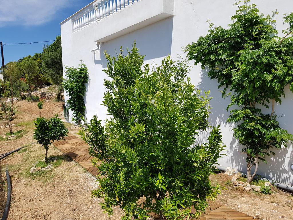 Villa Aphrodite Achlia Екстериор снимка